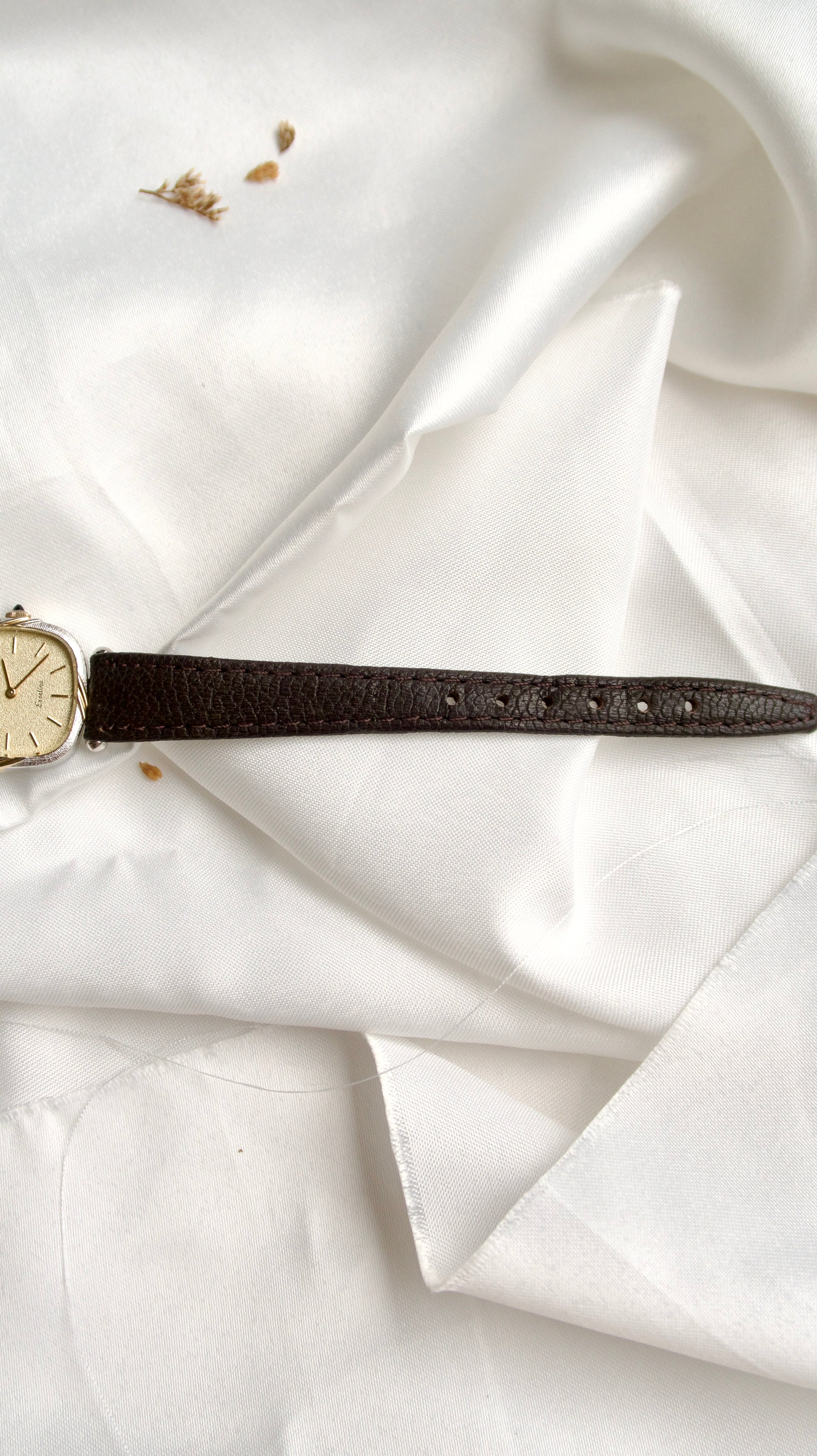 S. Exceline Square Beige Glitter Dial with Brown Strap