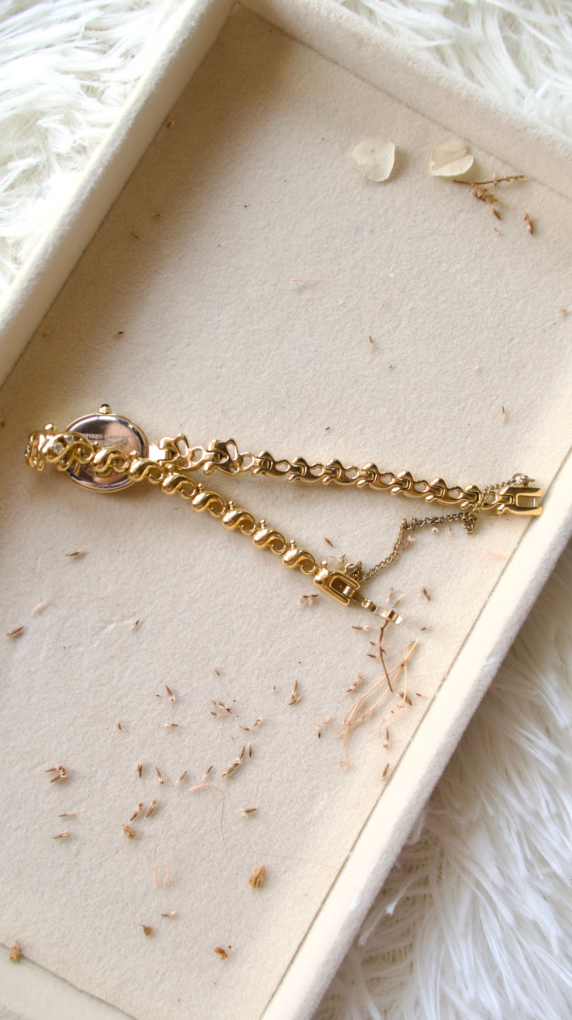 CTZ. Sylph Gold Oval Dial with White Jewels & Gold Chain