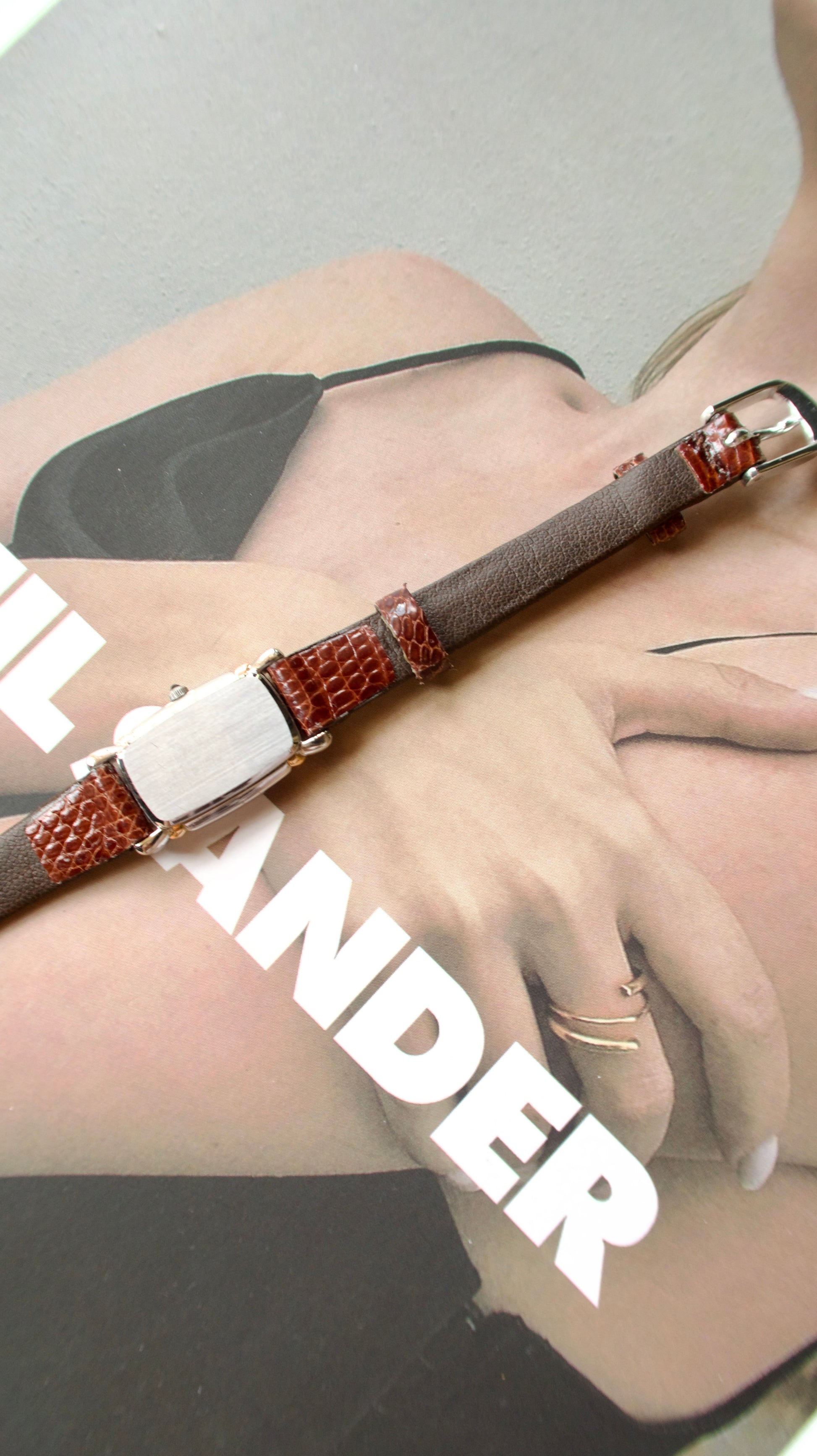 S. Credor Two Tone With Drak Brown Croco Lt Strap