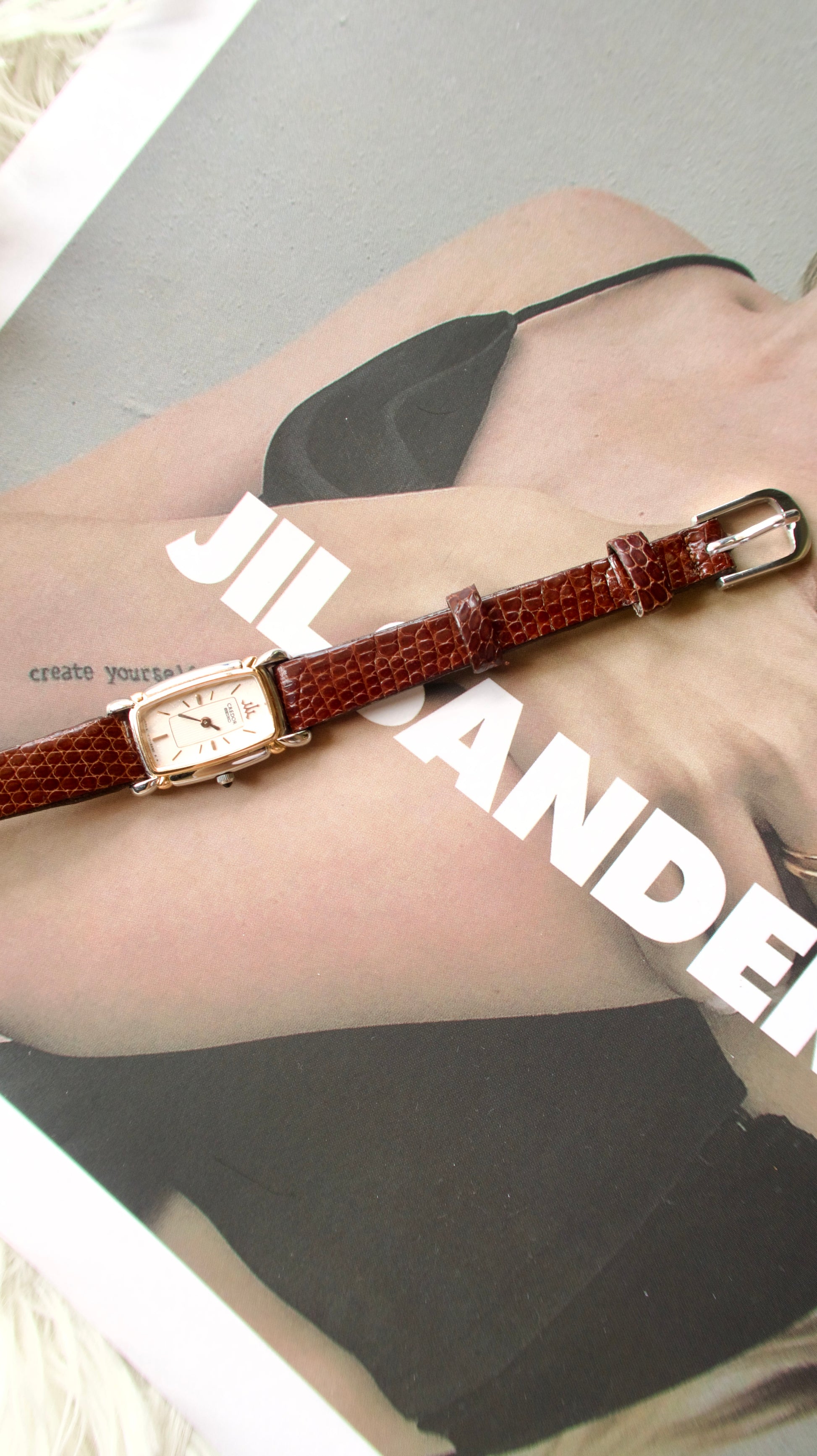 S. Credor Two Tone With Drak Brown Croco Lt Strap