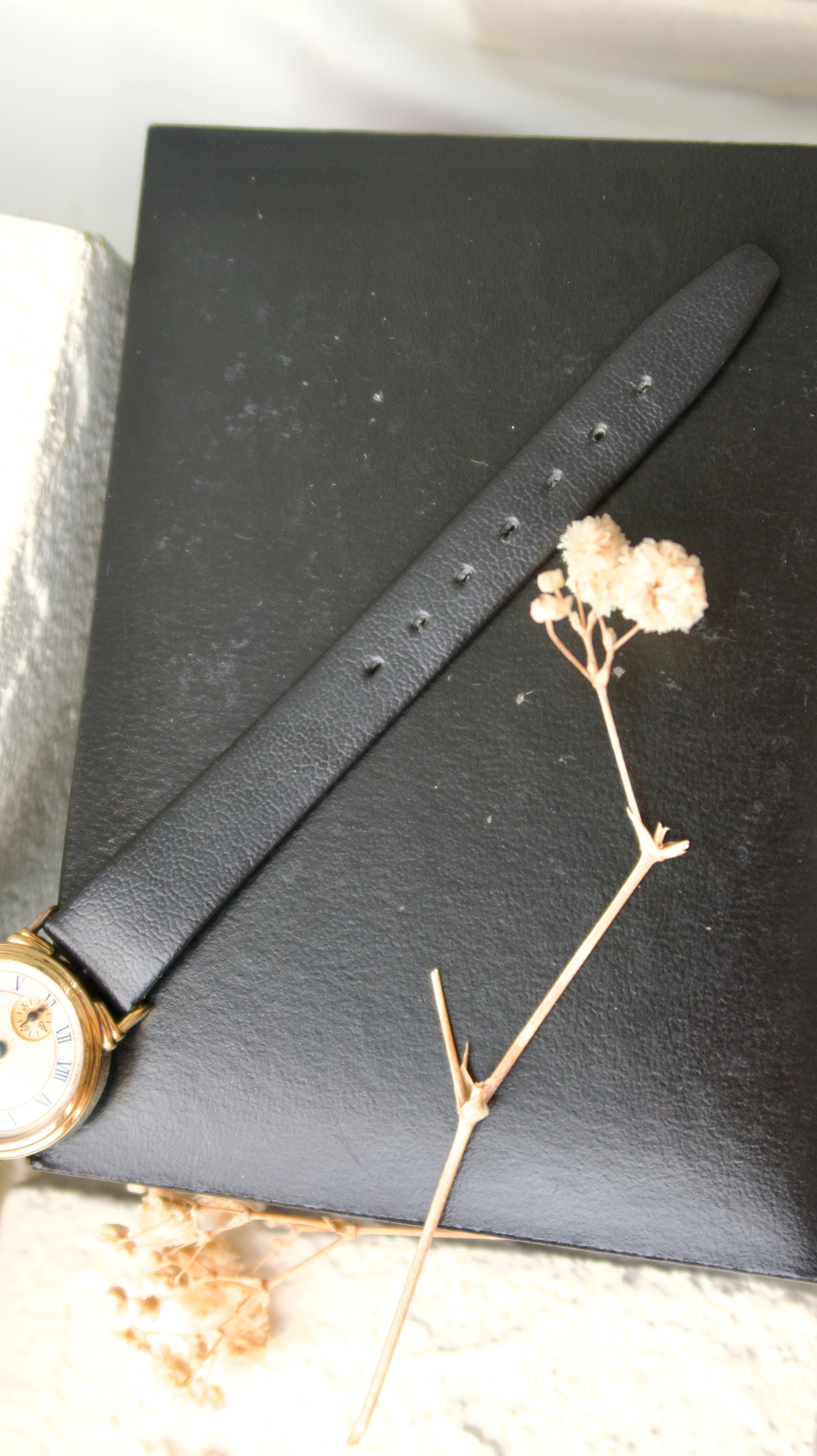 [NEW IN BOX] CLN Gold MOP Round Dial with Black Leather Strap Watch