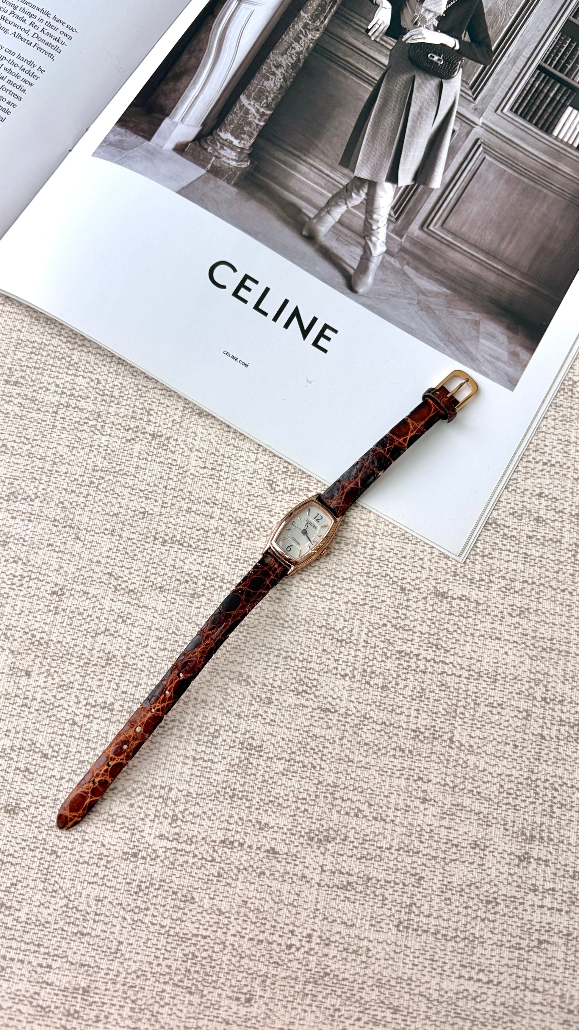 CTZ. Exceed Eco Drive White Oblong Dial with Dark Brown Strap Watch
