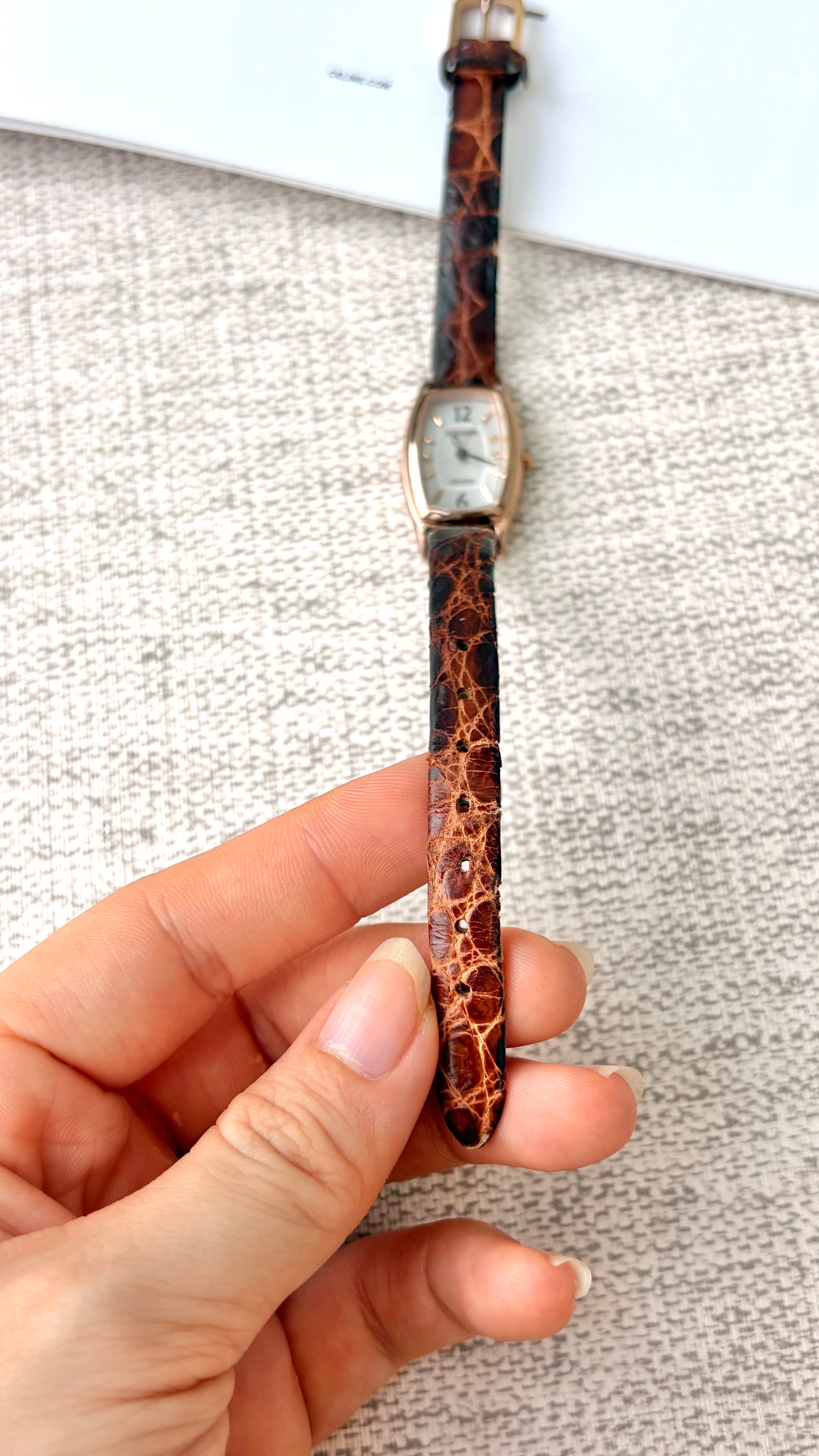 CTZ. Exceed Eco Drive White Oblong Dial with Dark Brown Strap Watch