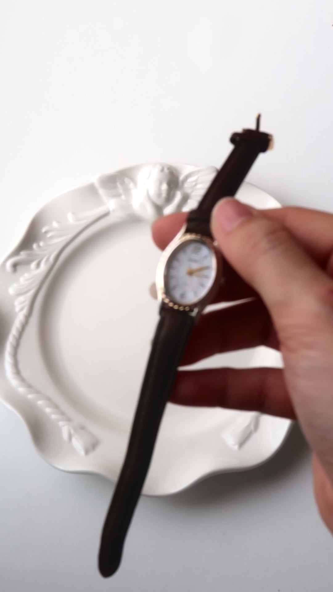 CTZ. Exceed MOP Oval Dial Dark Brown Strap Watch